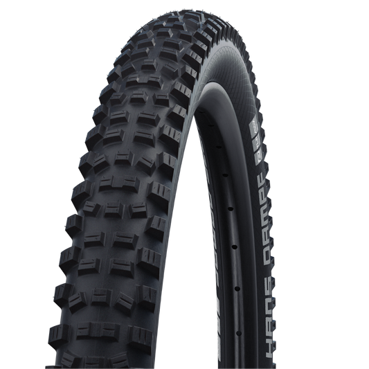 Schwalbe Tyre Hans Dampf