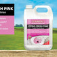 Citrus Pink Splash