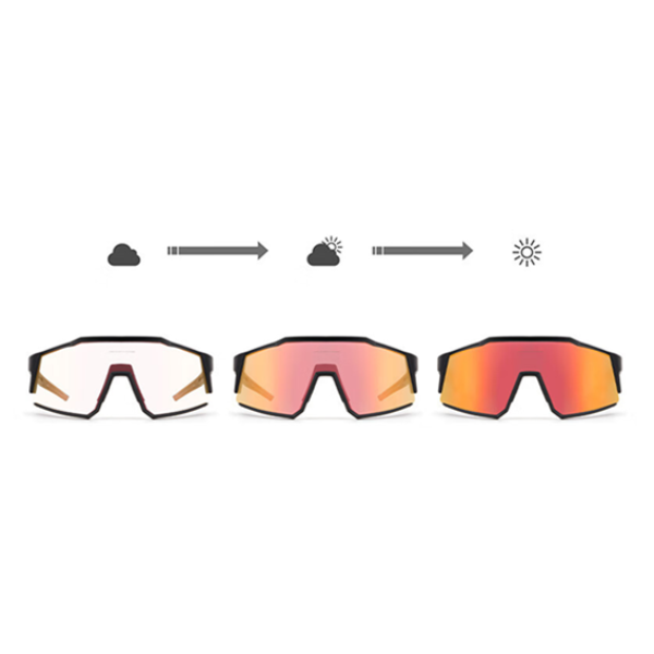 Mirror Photochromic Lens