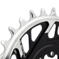 13171 Detail Tooth