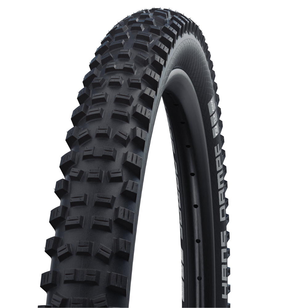 Schwalbe Tyre Hans Dampf