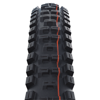 Schwalbe Tyre Big Betty