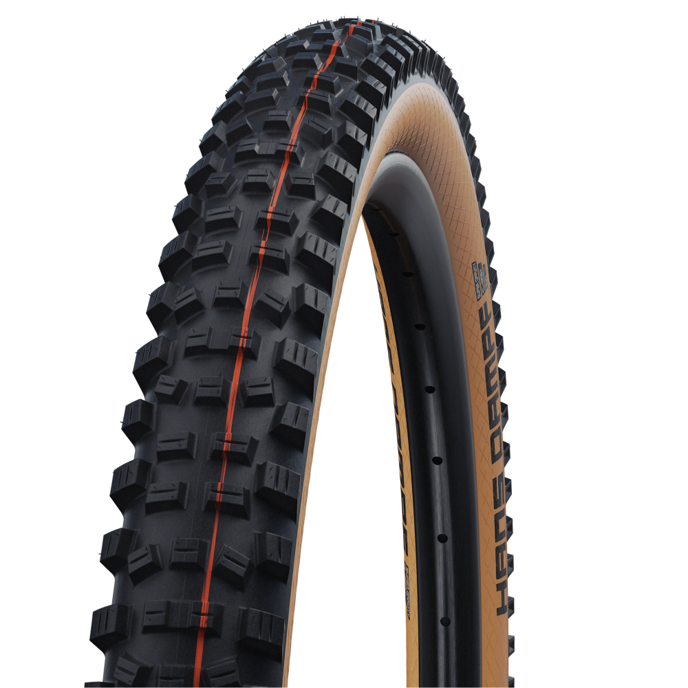 Schwalbe Tyre Hans Dampf